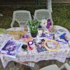 Ziua Porților Deschise CSC Campina